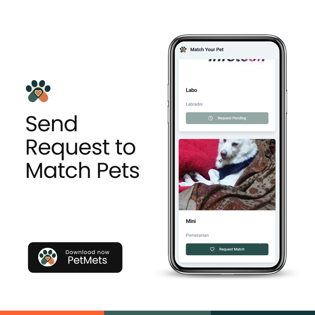 Pet matching interface on the app